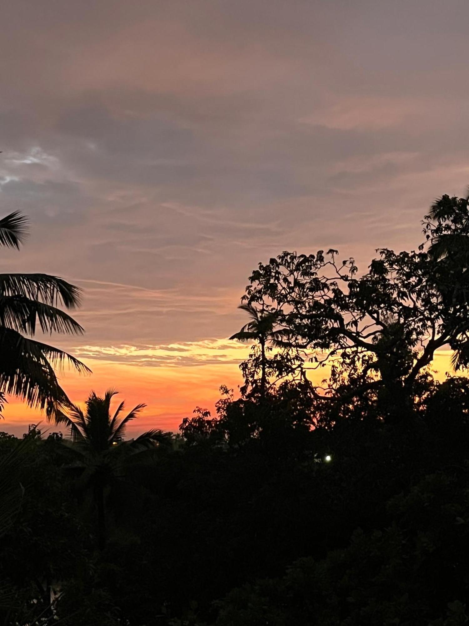 Green Nest Hostel, Baga- North Goa Arpora Eksteriør billede